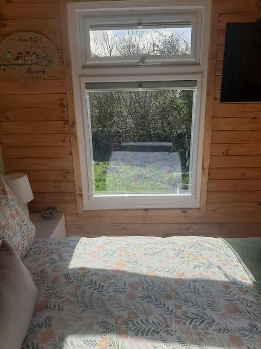 Anglesey New Modern Shepherds Hut With Spa Hot Tub Gwalchmai エクステリア 写真